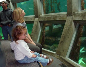 Reese and Carrie watch the fish